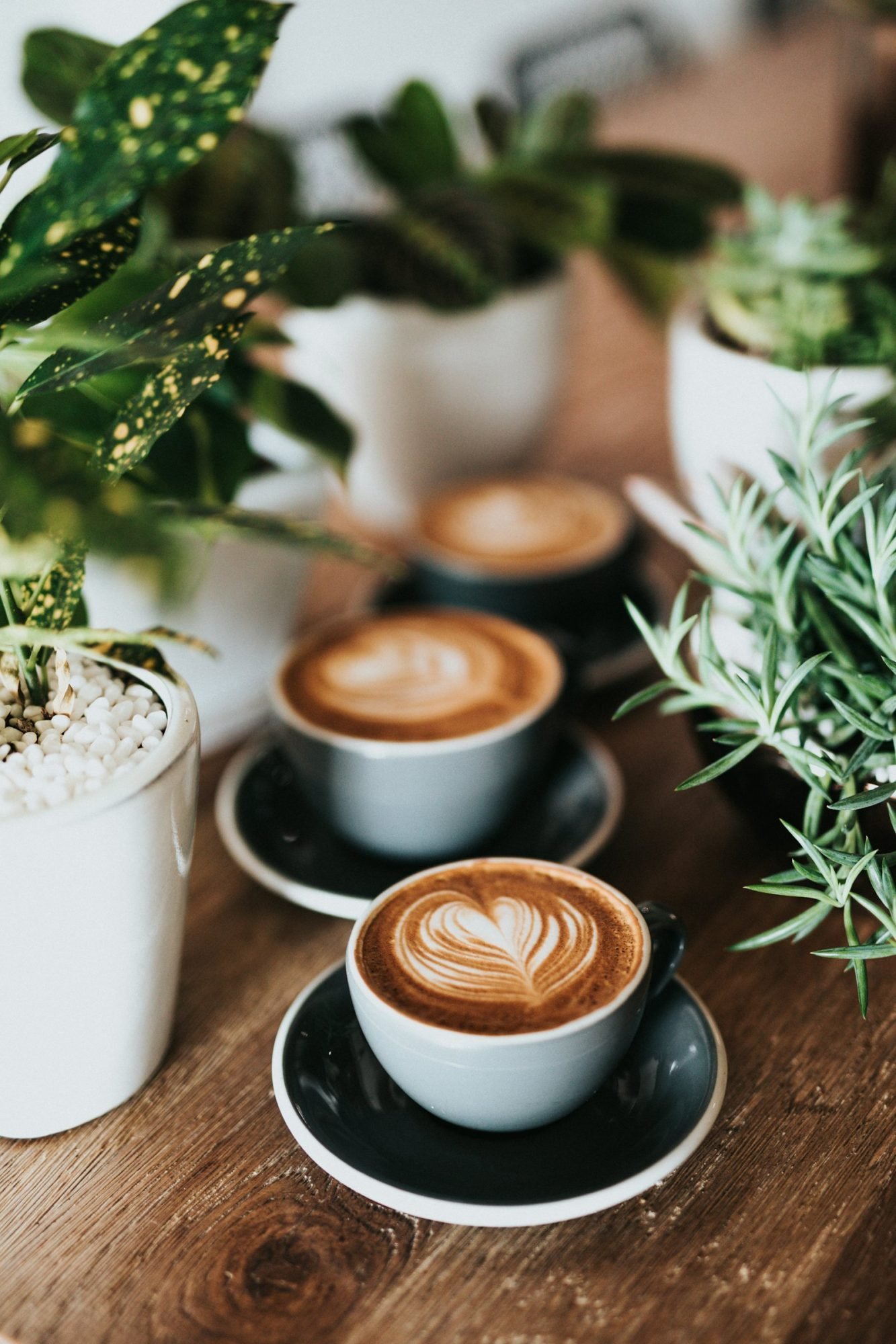 Two lattes with leaf latte art on a table among green plants