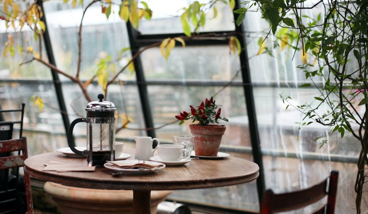 Cafe table by a large window with plants